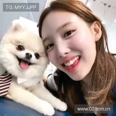 苗泽津